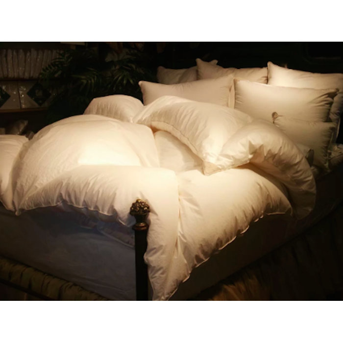 Down to Basics Winter Goose Down Comforter & Reviews Wayfair